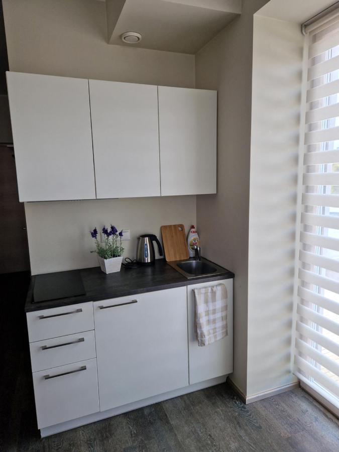 Aisa 39 Apartment Parnu Bagian luar foto
